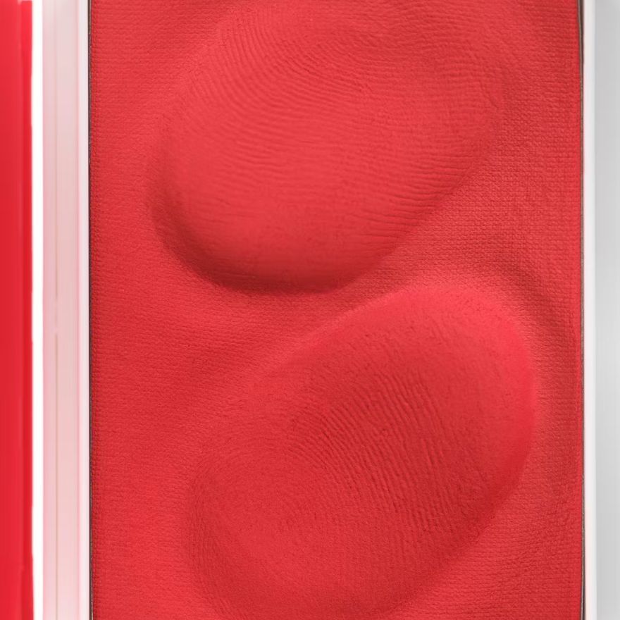 GLOSSIER PLUSH BLUSH BURST-50058221.jpg
